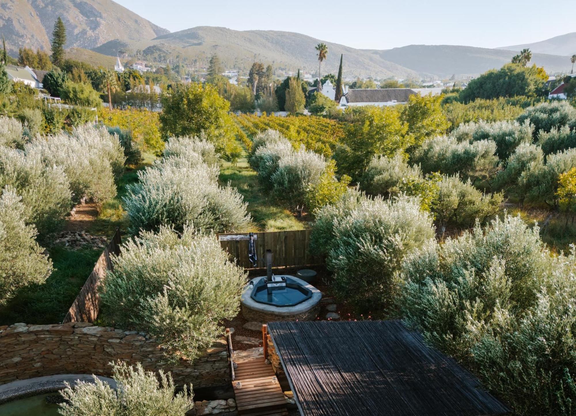 Olive Stone Farm Cottages Монтегю Экстерьер фото